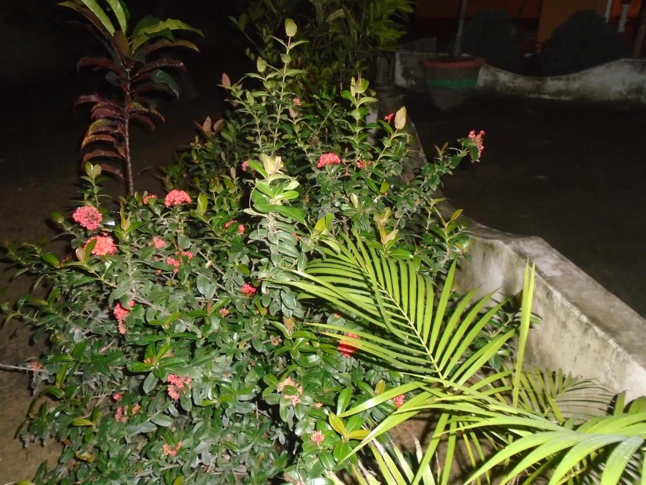 El Shaddai Hotel Mannar Buitenkant foto